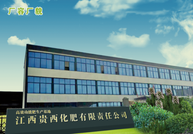 江西贵西化肥有限责任公司